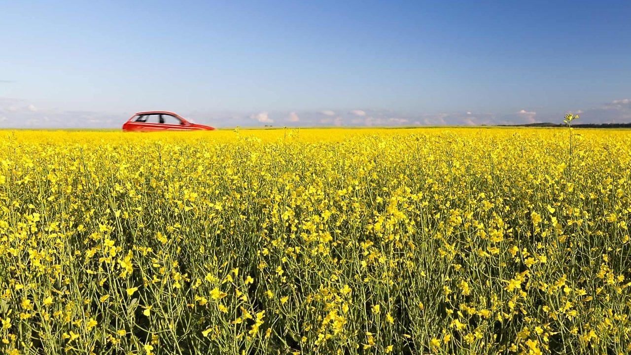 Punainen auto ajaa joenvarsitietä