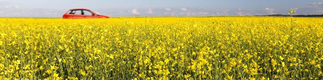 Punainen auto ajaa joenvarsitietä.